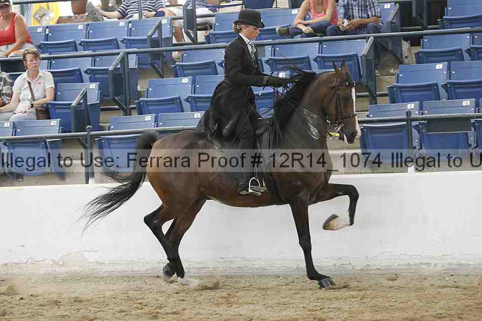 Proof Number 12r14_1074