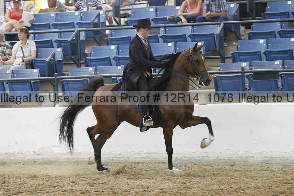 Proof Number 12r14_1078