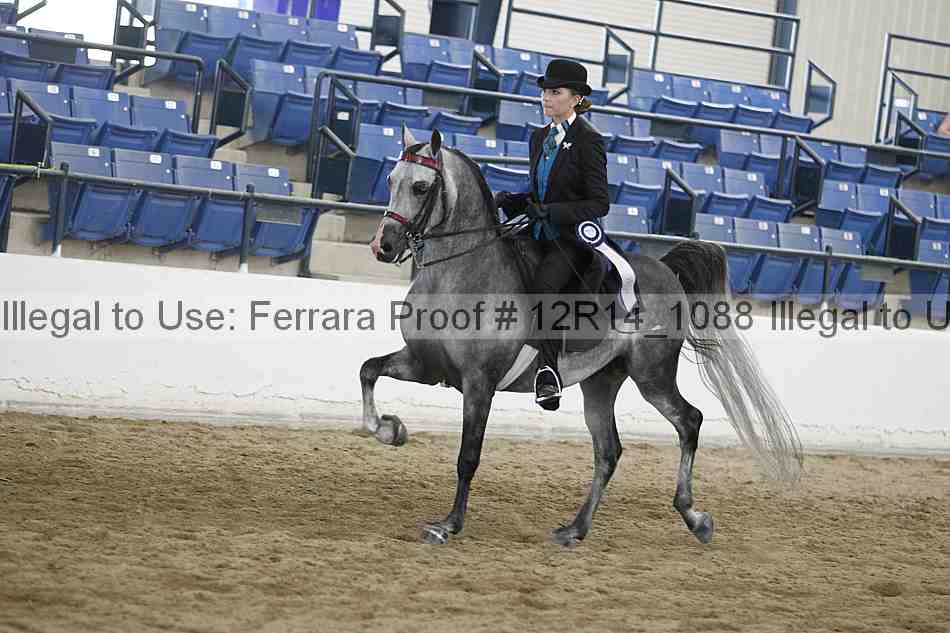 Proof Number 12r14_1088