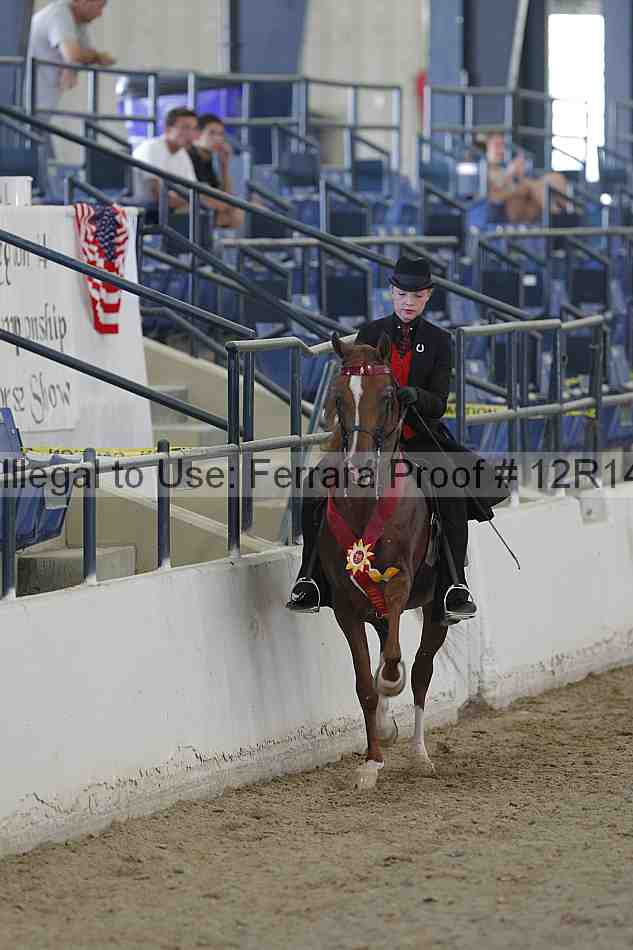 Proof Number 12r14_1108