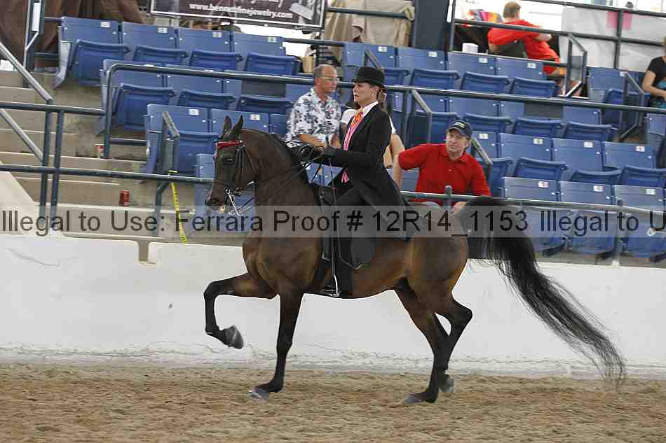 Proof Number 12r14_1153