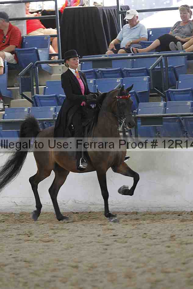Proof Number 12r14_1160
