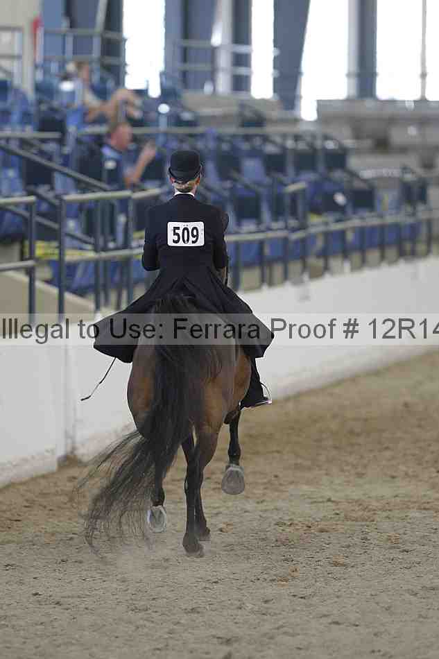 Proof Number 12r14_1162