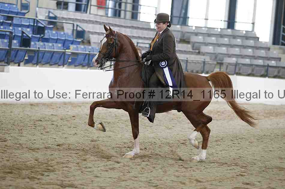 Proof Number 12r14_1165