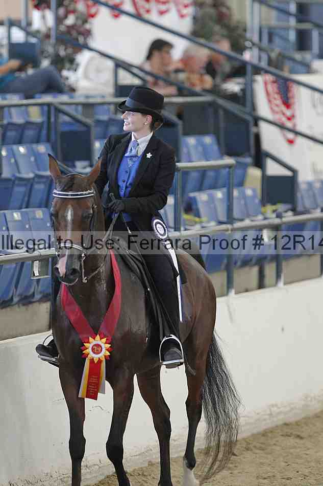 Proof Number 12r14_1167