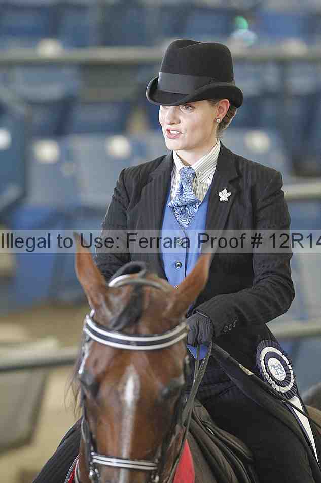 Proof Number 12r14_1168
