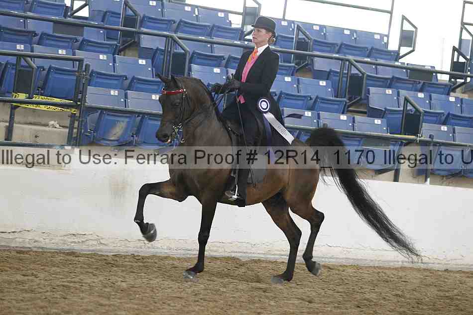 Proof Number 12r14_1170