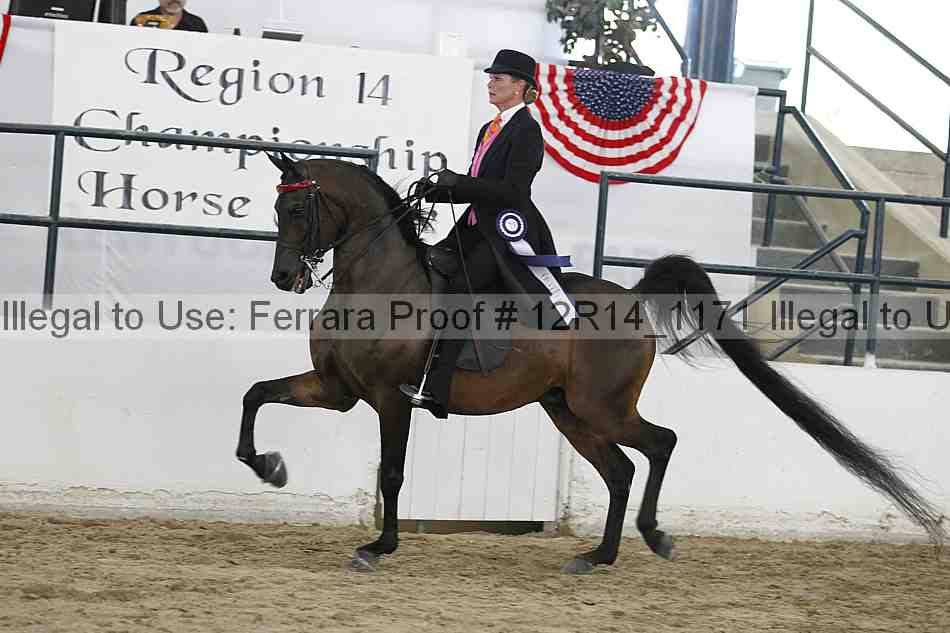Proof Number 12r14_1171