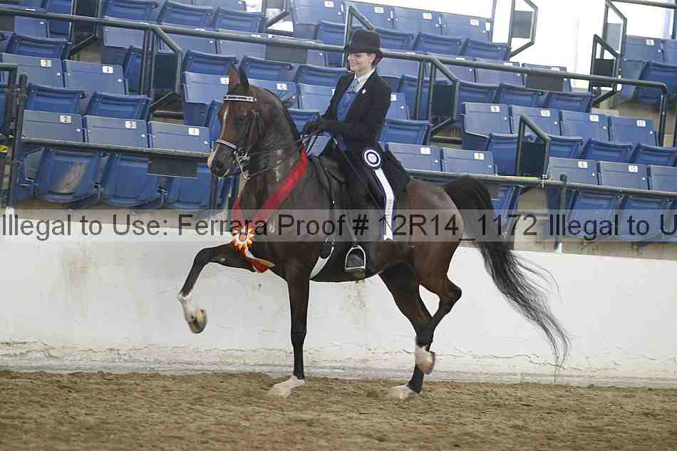 Proof Number 12r14_1172