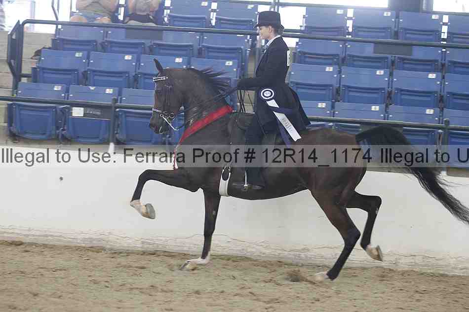Proof Number 12r14_1174