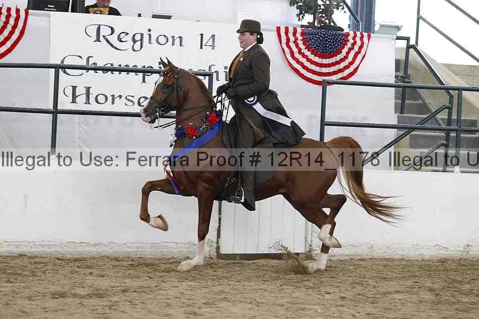 Proof Number 12r14_1178