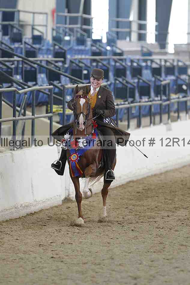 Proof Number 12r14_1183