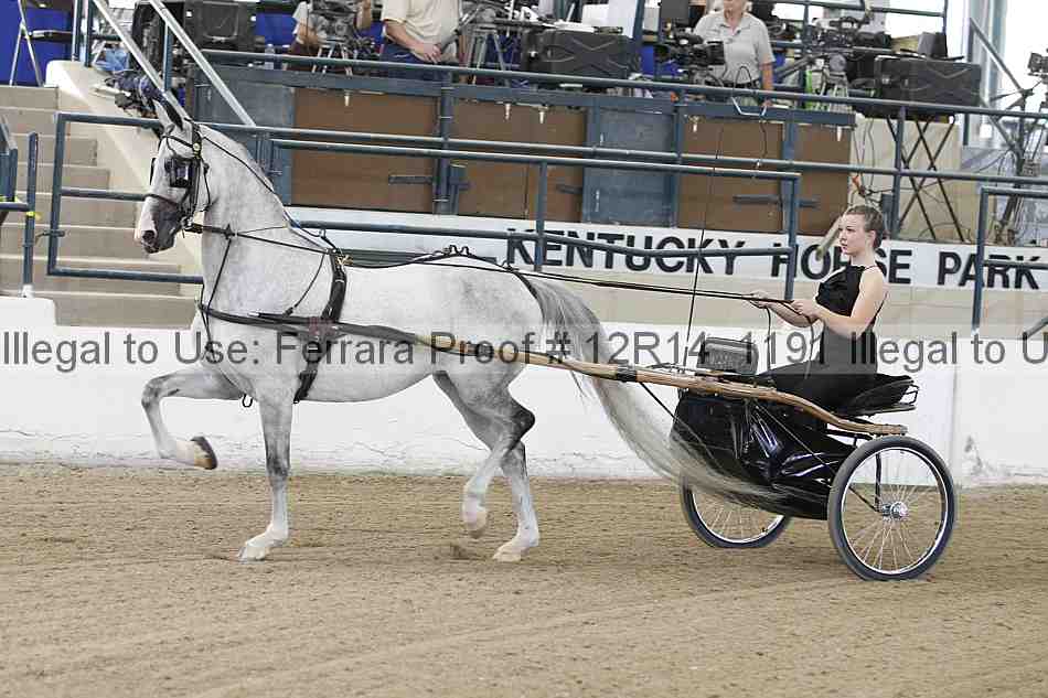 Proof Number 12r14_1191