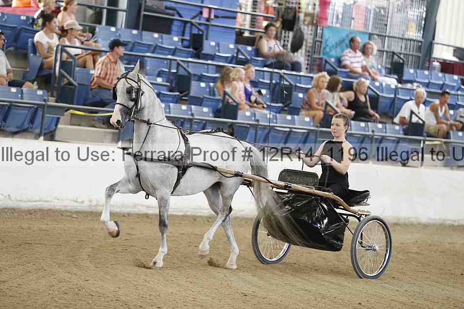 Proof Number 12r14_1196