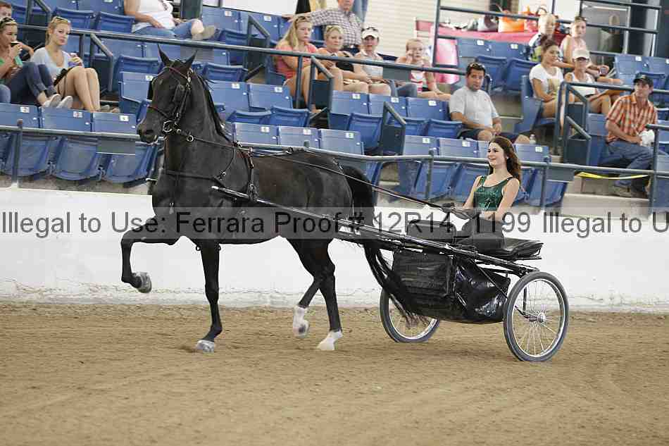 Proof Number 12r14_1199