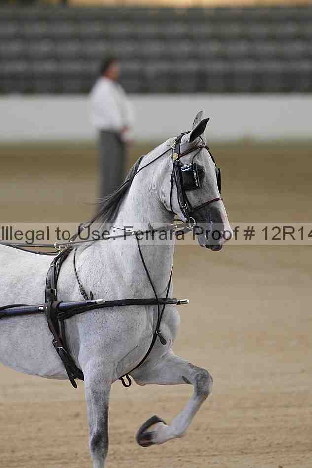 Proof Number 12r14_1205