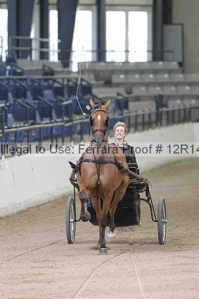 Proof Number 12r14_1206