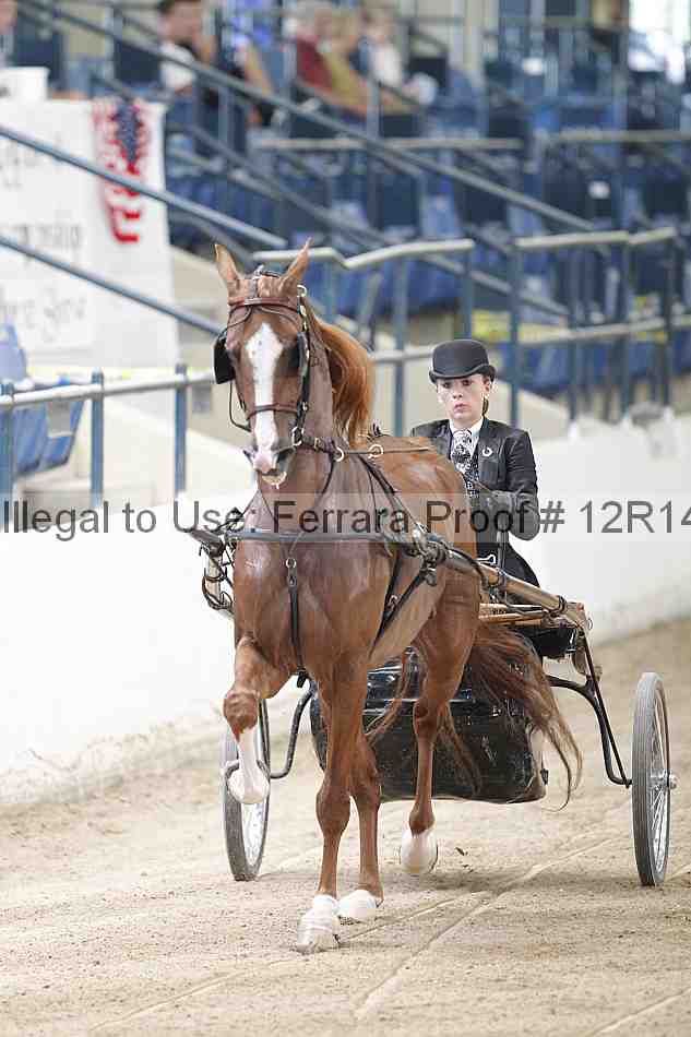 Proof Number 12r14_1211