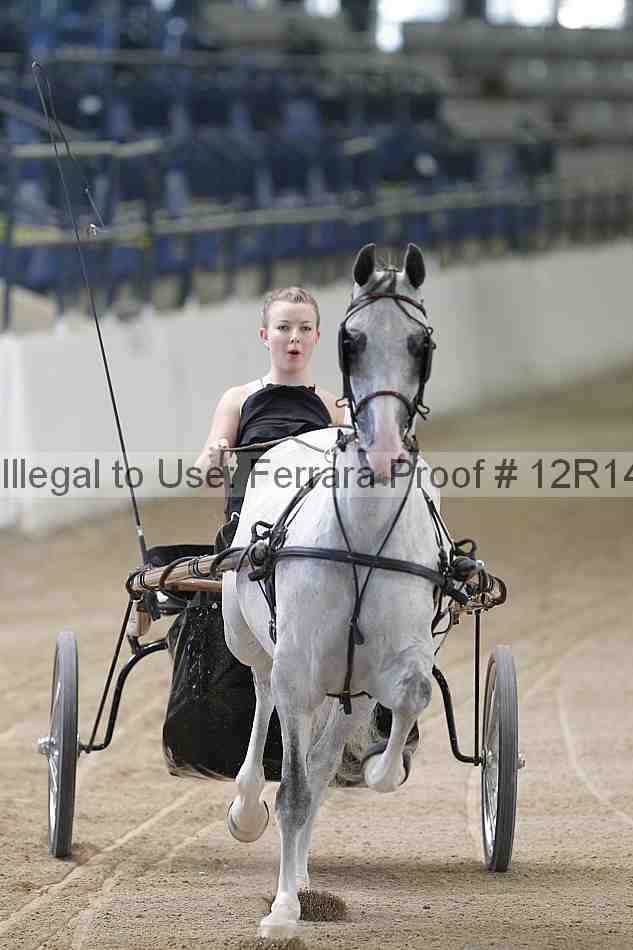 Proof Number 12r14_1214