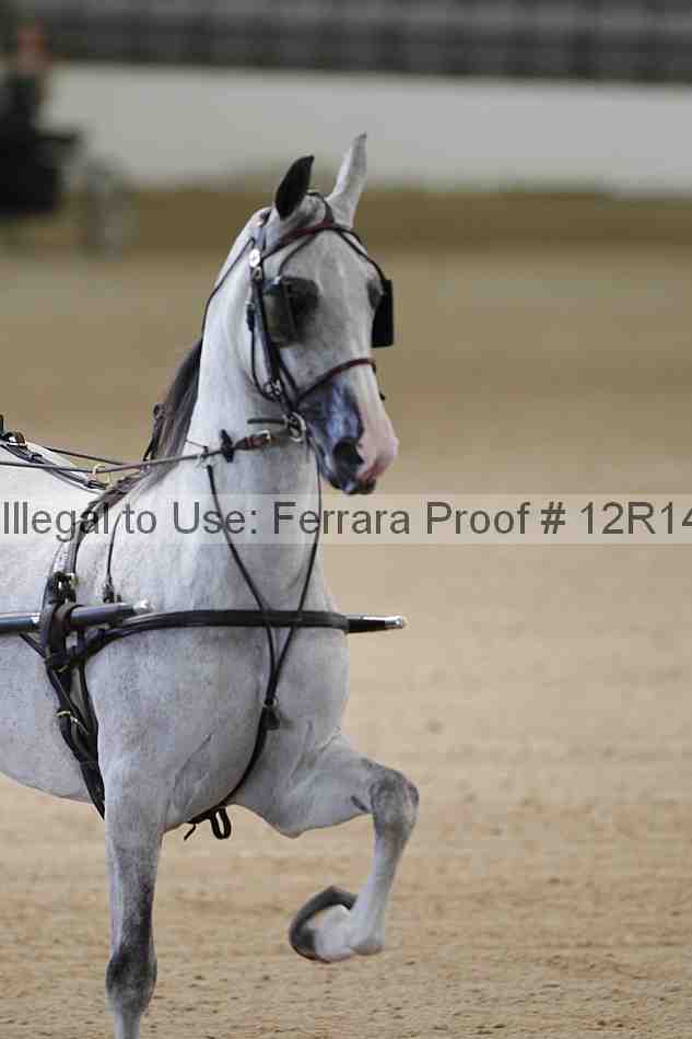 Proof Number 12r14_1215
