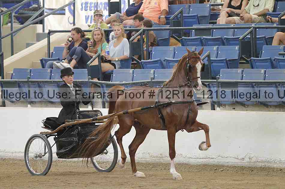 Proof Number 12r14_1218