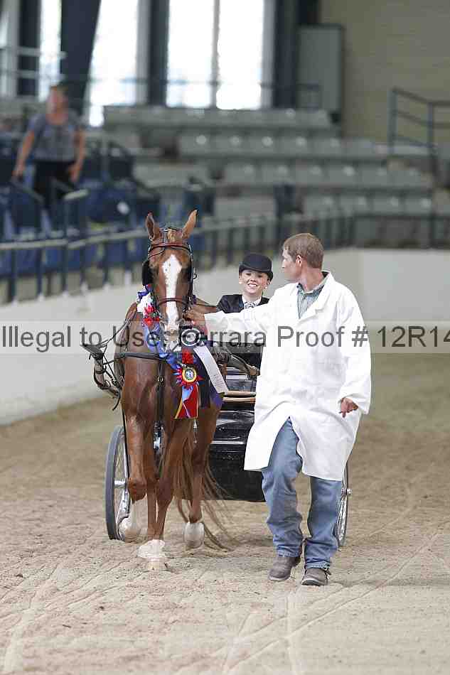 Proof Number 12r14_1230
