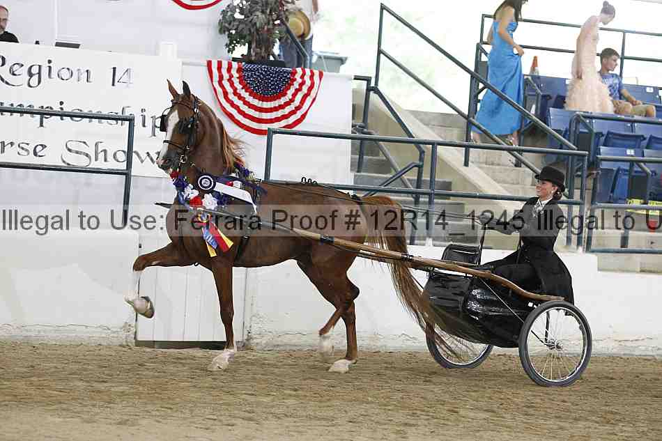 Proof Number 12r14_1245