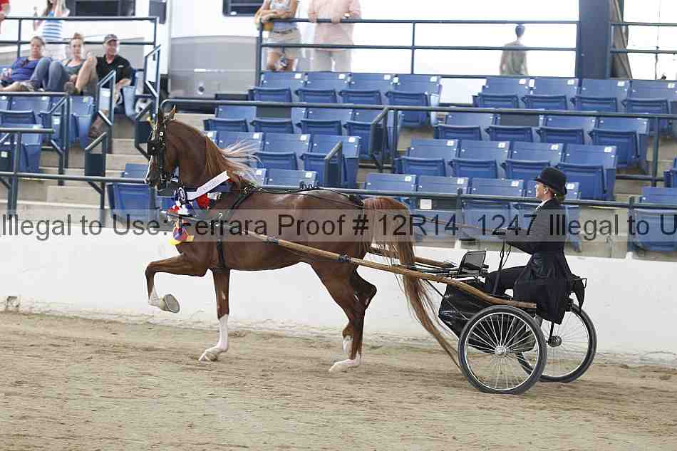 Proof Number 12r14_1247