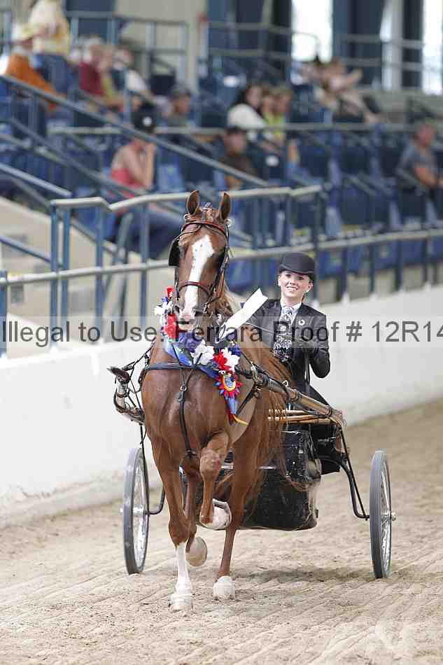 Proof Number 12r14_1251