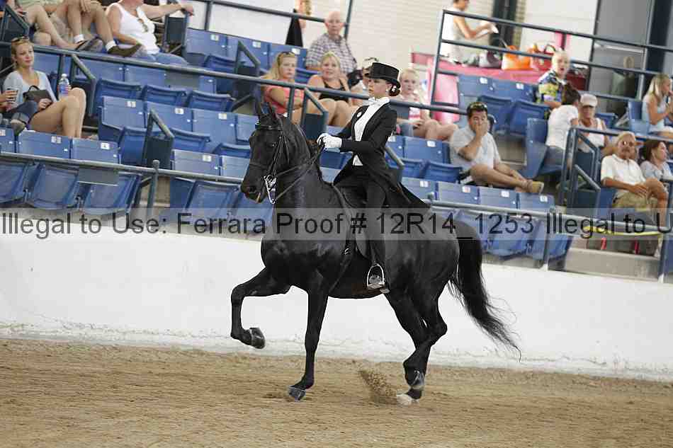 Proof Number 12r14_1253