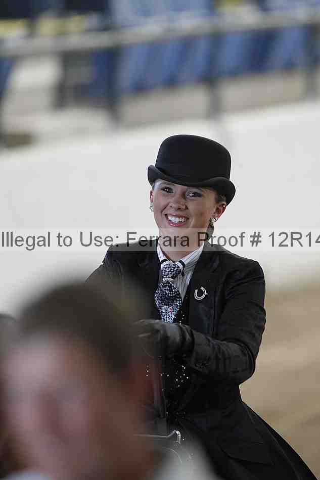 Proof Number 12r14_1254