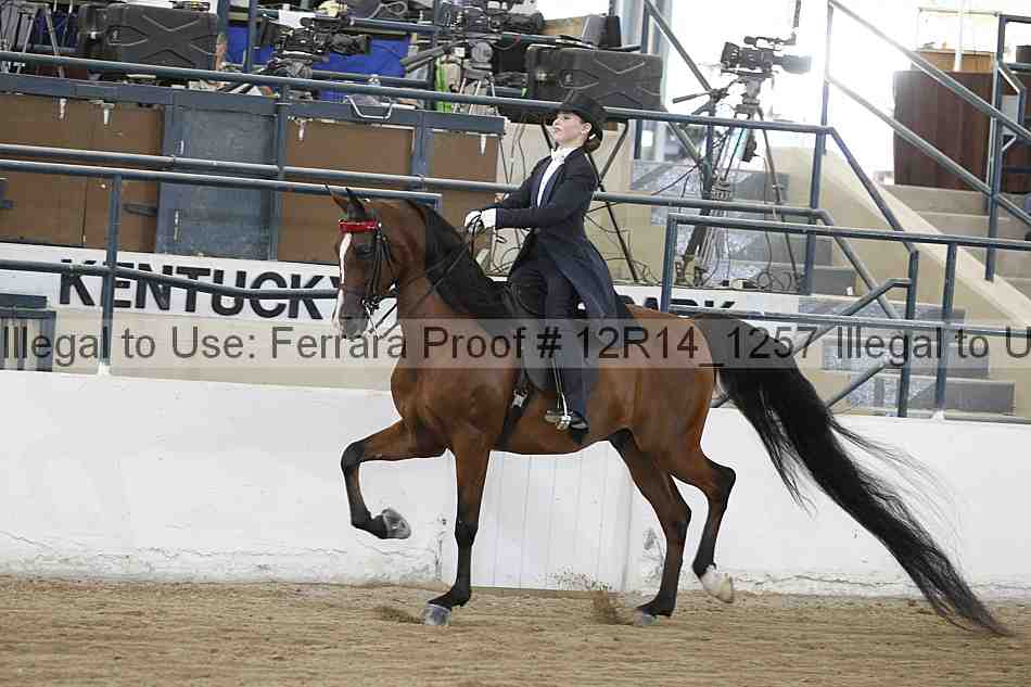 Proof Number 12r14_1257