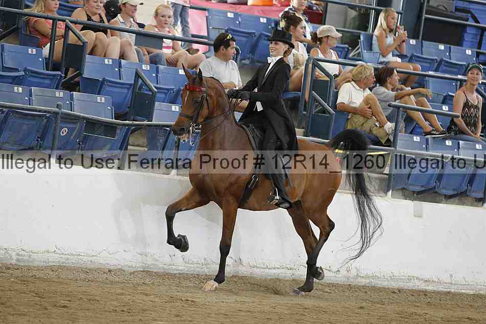 Proof Number 12r14_1260