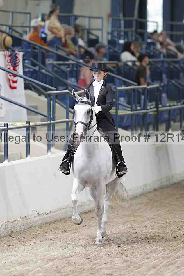 Proof Number 12r14_1274