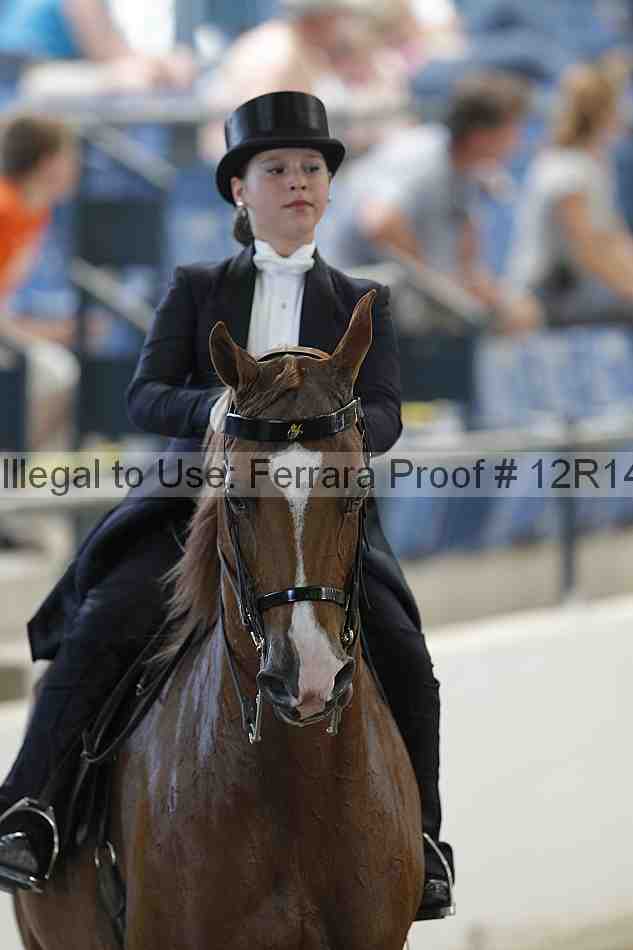 Proof Number 12r14_1278