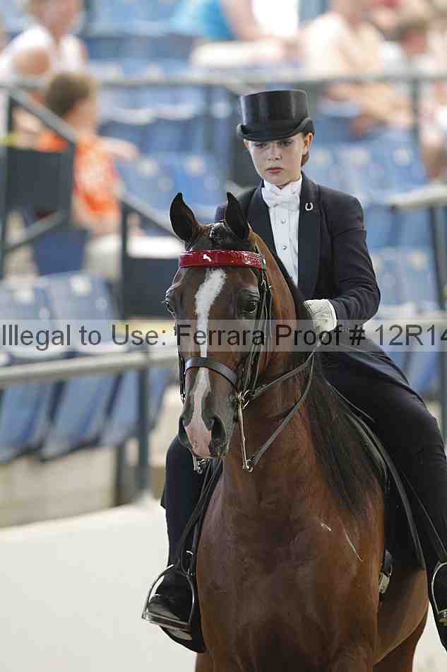 Proof Number 12r14_1281