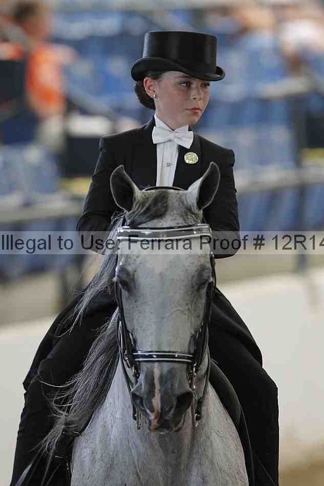 Proof Number 12r14_1283