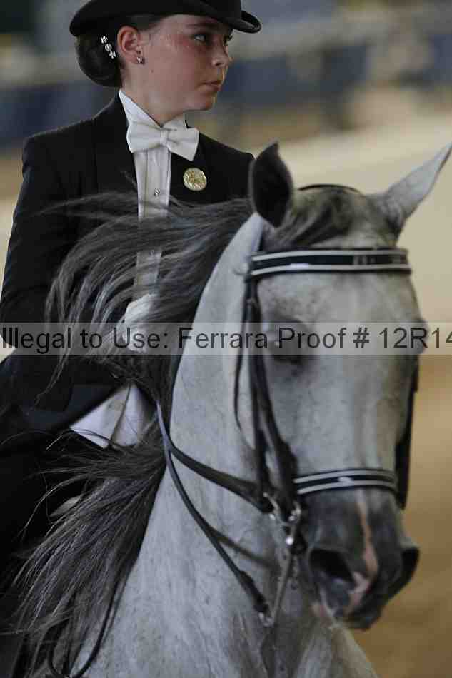 Proof Number 12r14_1284