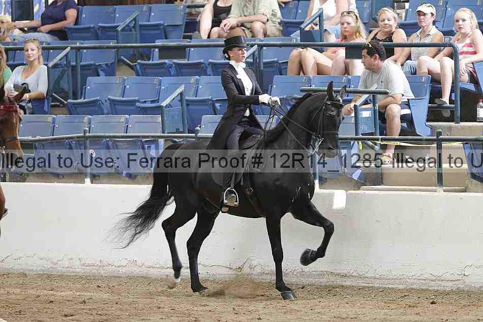 Proof Number 12r14_1285
