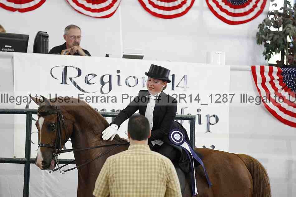Proof Number 12r14_1287