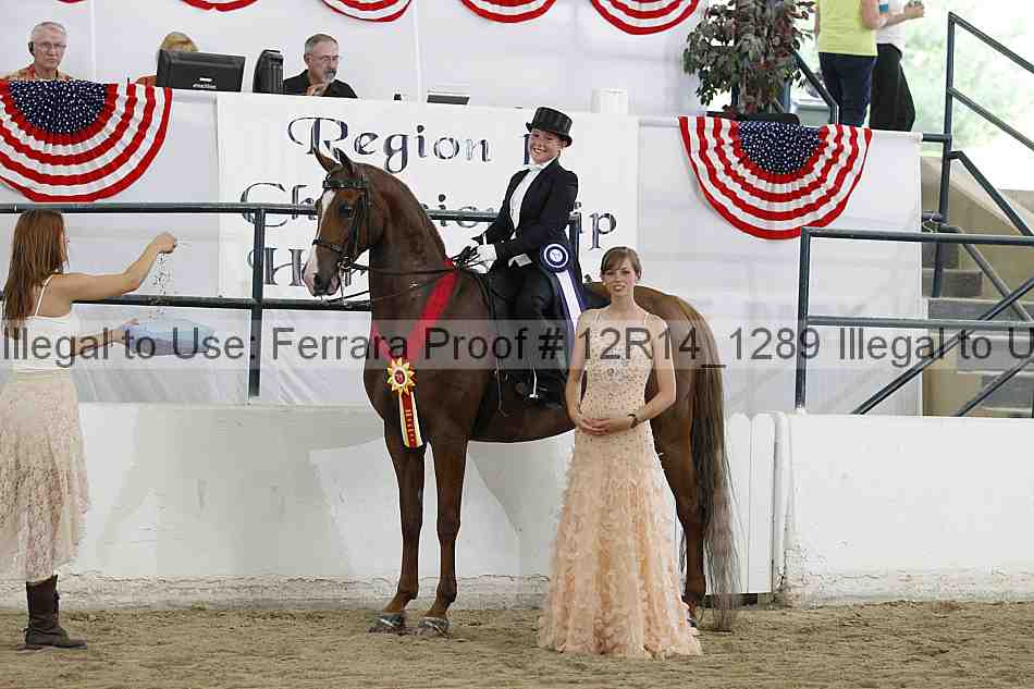 Proof Number 12r14_1289