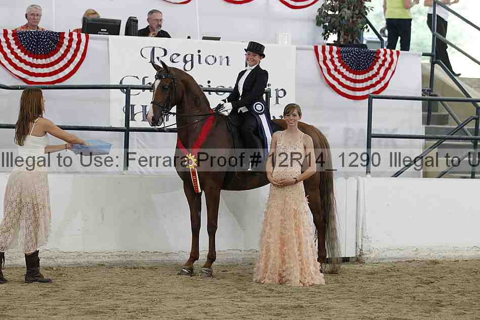 Proof Number 12r14_1290