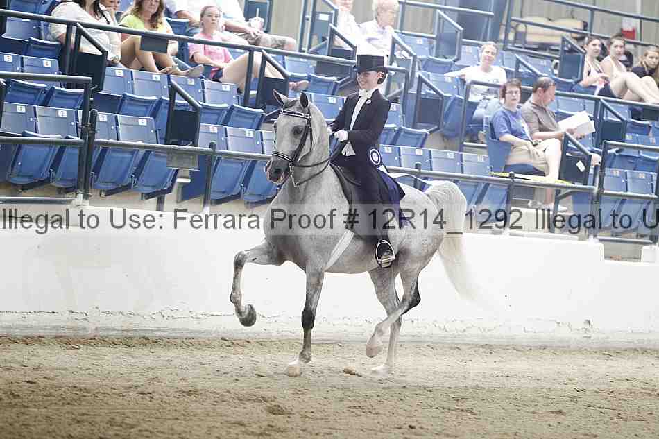 Proof Number 12r14_1292