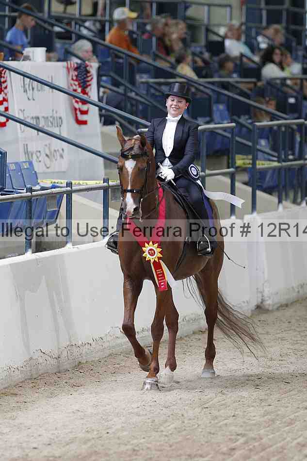 Proof Number 12r14_1293
