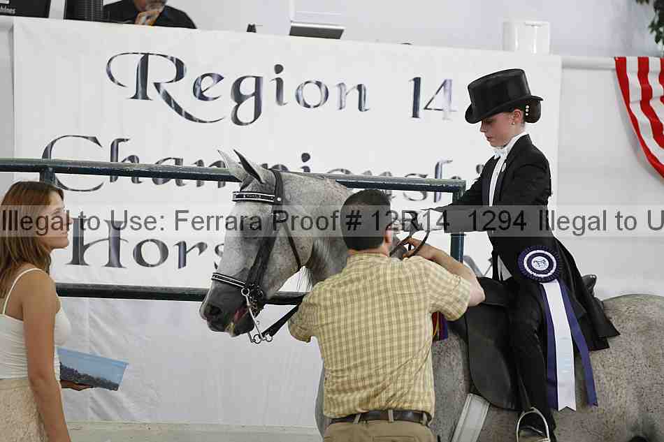 Proof Number 12r14_1294