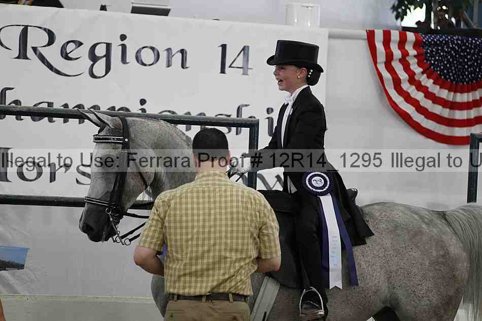 Proof Number 12r14_1295