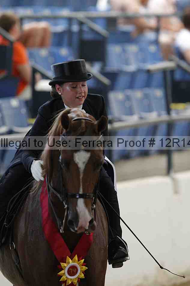 Proof Number 12r14_1297