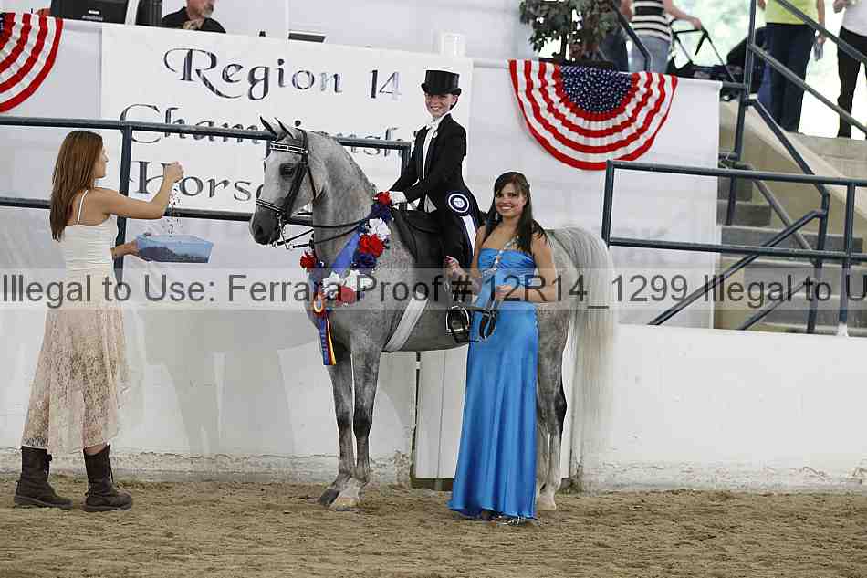 Proof Number 12r14_1299
