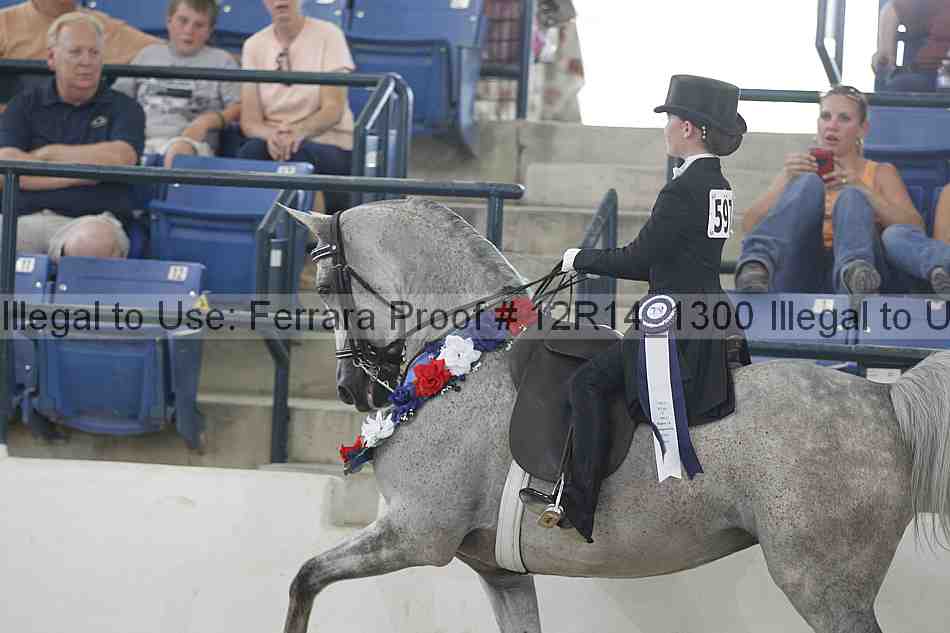Proof Number 12r14_1300