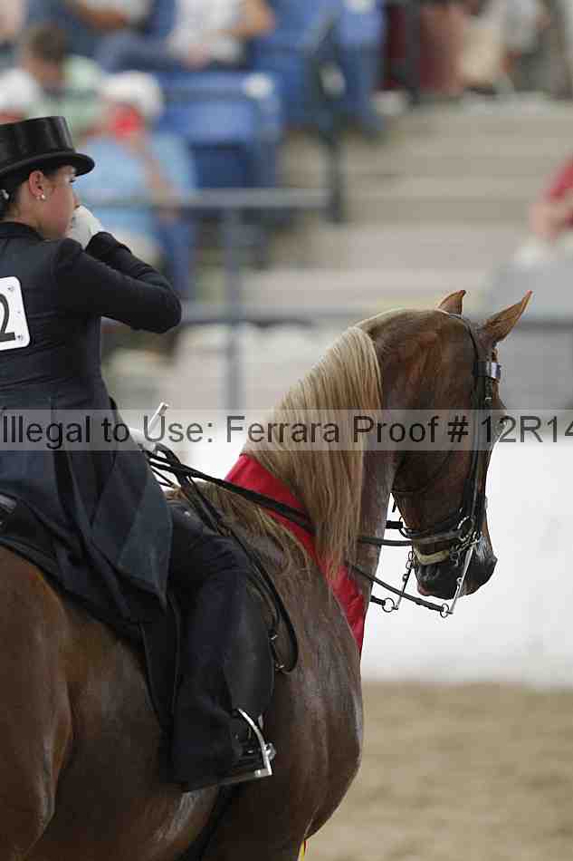 Proof Number 12r14_1301